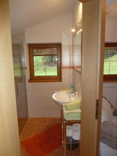 ein Bad mit einem Waschbecken und einem Fenster in der Unterkunft Appartements-Kaltenbach in Kaltenbach