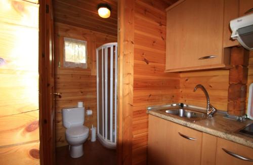 a small bathroom with a toilet and a sink at Hotel, Bungalows y Camping Viu in Víu