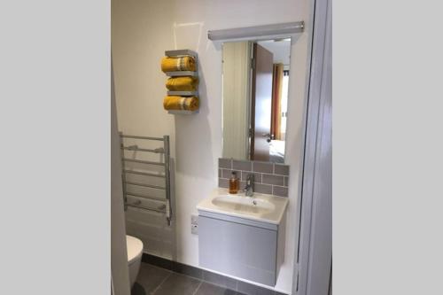 Bathroom sa Mourneview Loft - Luxury Apartment