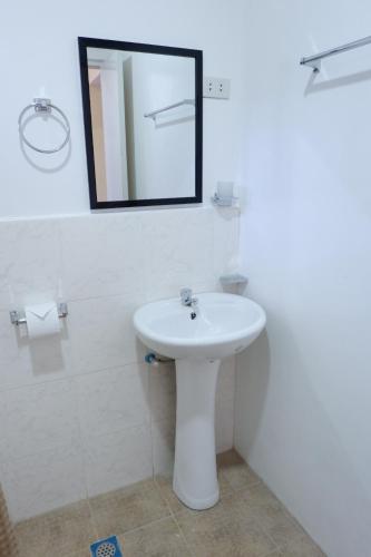 a bathroom with a white sink and a mirror at TLShaw Homestay in General Luna
