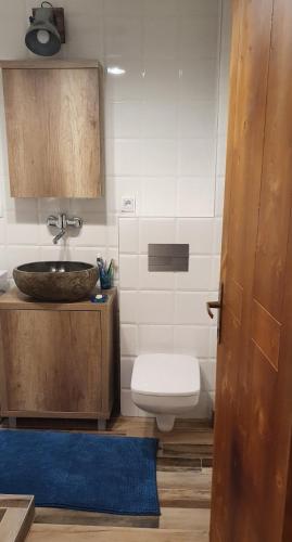 a bathroom with a toilet and a sink and a sink at Vila DORA in Divčibare