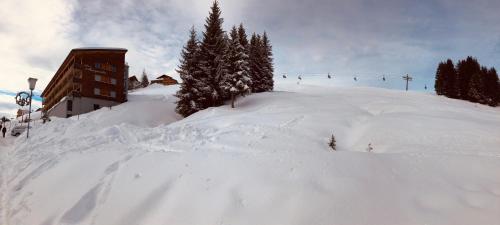 Galeriebild der Unterkunft Haus Margaritta Top 4 in Damüls