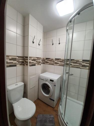 a bathroom with a toilet and a washing machine at Vidumgrāvja apartamenti in Ventspils