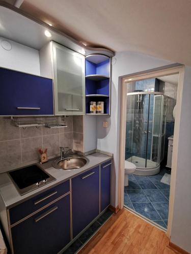 a small kitchen with a sink and a shower at Lux Villa Mitimago in Niš