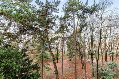 un groupe d'arbres dans une forêt avec un bâtiment dans l'établissement Appartement Réguillon - Welkeys, à Villeurbanne