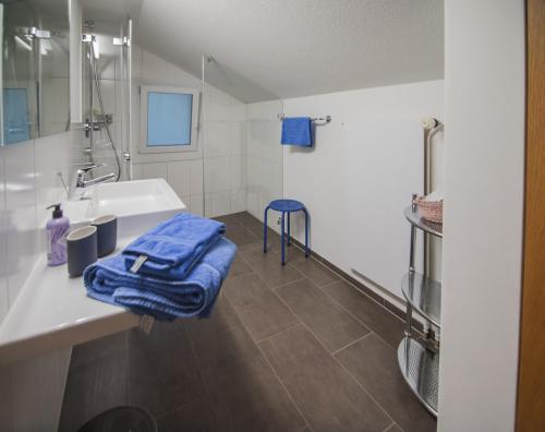 Koupelna v ubytování Chalet Alpenruh