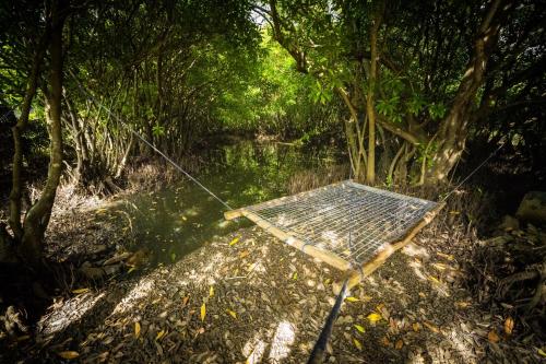 a net in the middle of a swamp with trees at Mermaid Cabana and Tree Houses in Tangalle