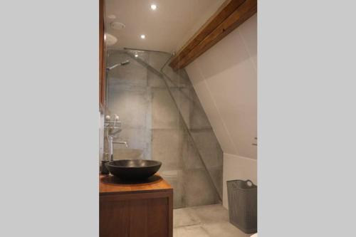 uma casa de banho com um lavatório e um chuveiro em Mooi appartement in een prachtige fiets-wandelomgeving em Abcoude