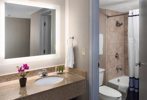 a bathroom with a sink and a toilet and a mirror at Lake Okoboji Resort and Conference Center in Okoboji