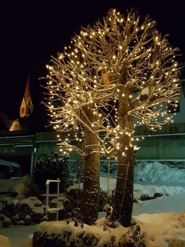 a tree covered in lights in the snow at Lenzerhof in Lappago