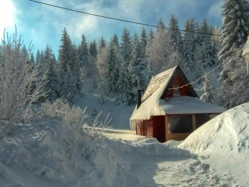 a small cabin covered in snow in a forest at Lodge Drveni Kutak in Sekulić 
