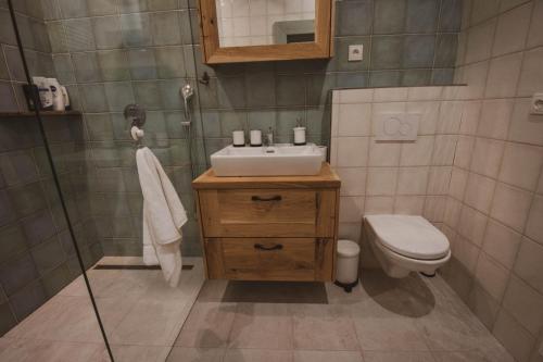 een badkamer met een wastafel en een toilet bij Chalupa u dvou studánek in Horní Orlice