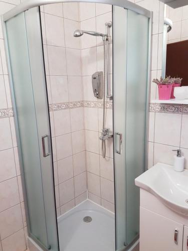una doccia con una porta in vetro in un bagno di STUDIO APARTMAN MARIA a Čavle