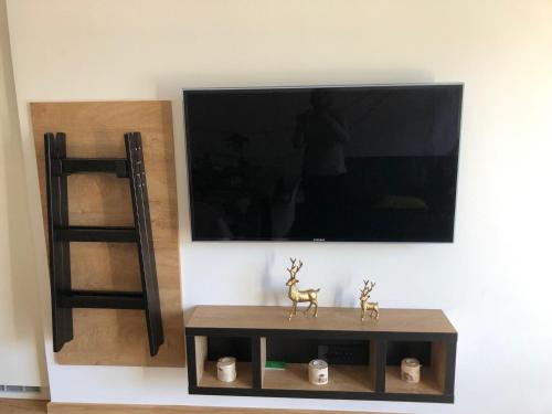 Televisyen dan/atau pusat hiburan di VILA Mojca APARTMA PERIDOT - Center Kranjska Gora