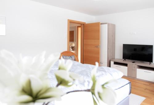 Haus Harmony Apartmentsにあるテレビまたはエンターテインメントセンター