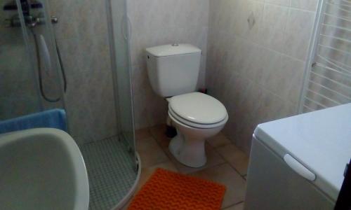 W łazience znajduje się toaleta, prysznic i umywalka. w obiekcie Appartement a la campagne w mieście Poyanne