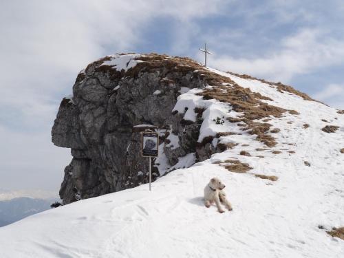 a teddy bear sitting on top of a snow covered mountain at Apartmenthaus Edelweiss in Gosau in Gosau
