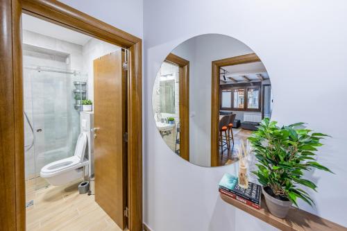 a bathroom with a toilet and a mirror at Apartment ERAK HILL in Zlatibor