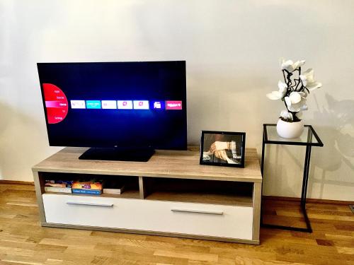 a flat screen tv sitting on top of a entertainment center at 2 BR apartment next to metro U1 and P&R garage in Vienna