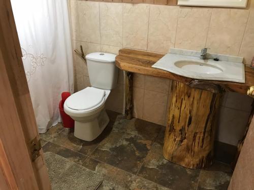 a bathroom with a white toilet and a sink at Doña Marta del Truful in Melipeuco