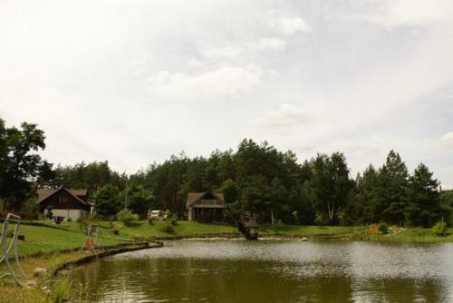 a body of water with houses in the background at Pastoral wooden hauses in Velikiy Les
