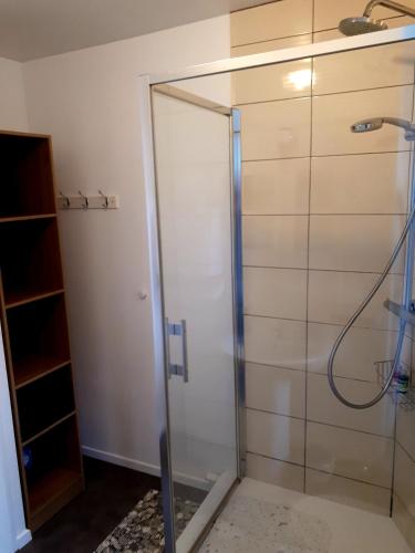 a shower with a glass door in a bathroom at Gîte Au Cœur de Cassel in Cassel