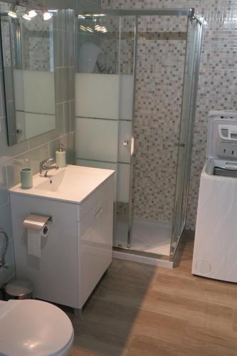 a bathroom with a shower and a toilet and a sink at Marisol 2F Waterfront in Armação de Pêra