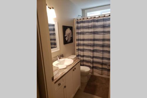 a bathroom with a sink and a toilet and a shower at A Cozy Family get away suite in South Nanaimo in Nanaimo