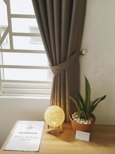 a window with a curtain and a plant on a table at Hello SaiGon Homestay in Ho Chi Minh City