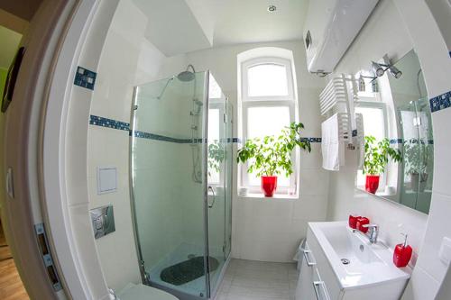 a bathroom with a shower and a sink at Apartament Ołowianka- Danzig in Gdańsk