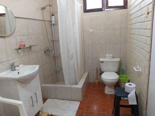 a bathroom with a shower and a toilet and a sink at Guesthouse Playa Chinchorro in Arica