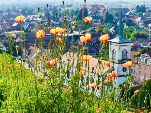 a view of a town with flowers in the foreground at Hôtel Le Manoir in Barr