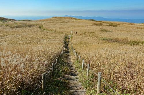 a path in the middle of a field at 大田市ゲストハウス 雪見院 Guesthouse Yukimi-inn in Ōda