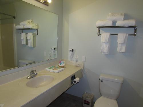 A bathroom at FairBridge Inn & Suites DuPont