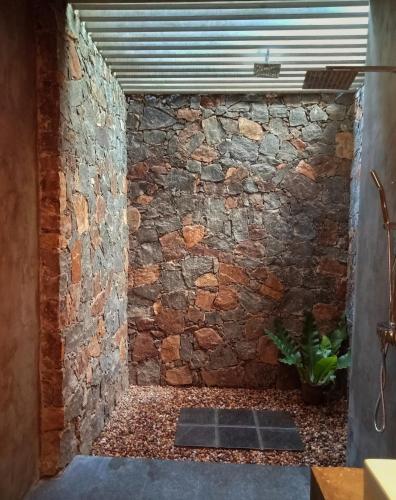 a stone wall with a window and a plant at Eliyanth Udawalawe in Udawalawe