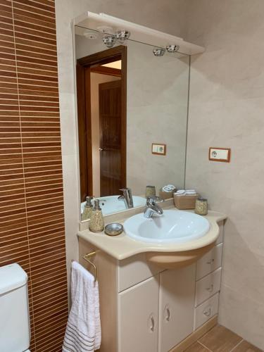 un baño con lavabo y espejo en Casa en Martín Miguel a 15 Minutos de Segovia, en Martín Miguel