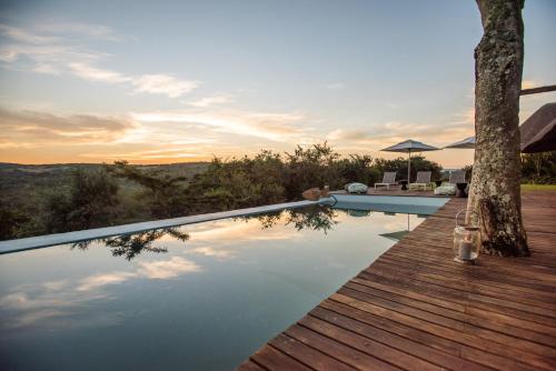 a swimming pool with a wooden deck next to a tree at Tala Collection Game Reserve in Silverton