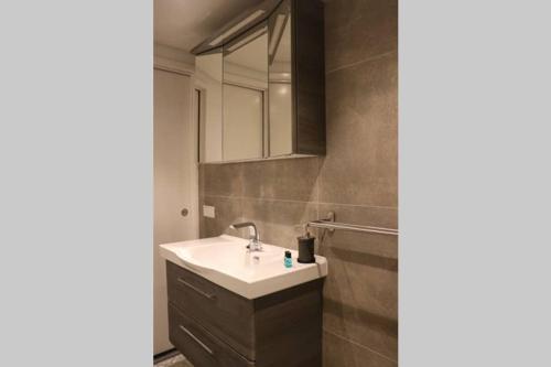 Bilik mandi di Ruim appartement in prachtige fiets-wandelomgeving