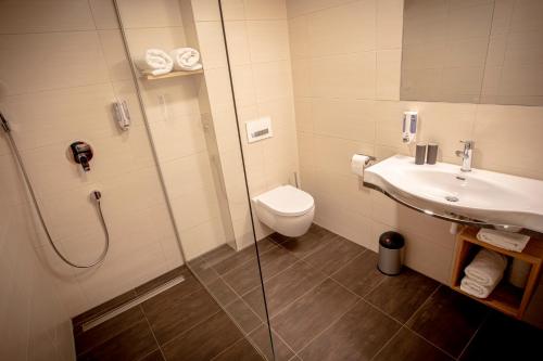 a bathroom with a shower and a toilet and a sink at eckbergerhof in Gamlitz