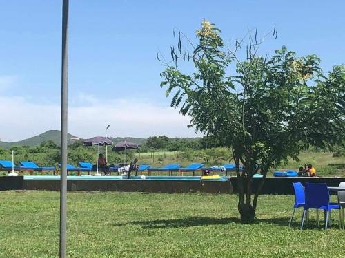a tree sitting in the grass next to a pool at VICTORIA SANDS LODGE in Mbita