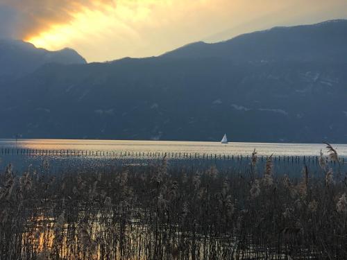 a sail boat on the water with a boat in the distance at Les Terrasses de Tresserve in Aix-les-Bains