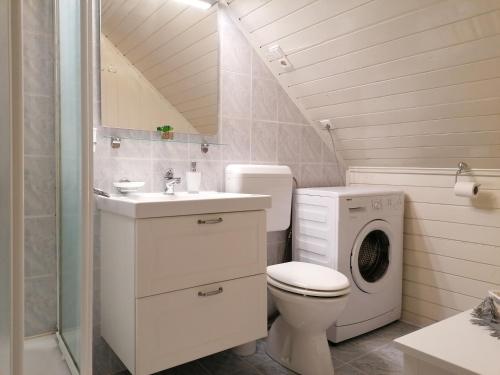 a bathroom with a toilet and a washing machine at Apartment Sotočje in Dolenja Trebuša