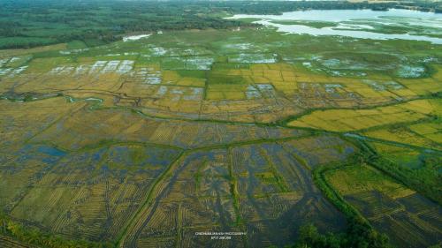 an aerial view of a cultivated field with a body of water at Dearly Holiday Home And Safari in Tissamaharama