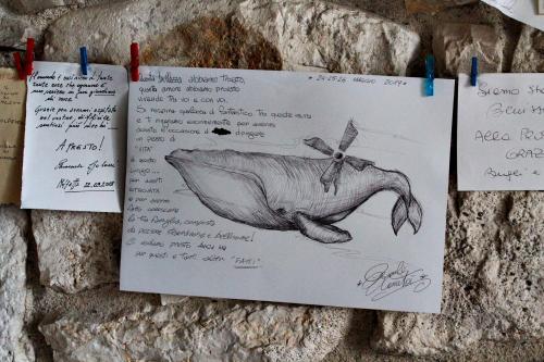 a drawing of a whale hanging on a wall at Il Mulino di Amleto - Bed and Breakfast letterario in Molfetta