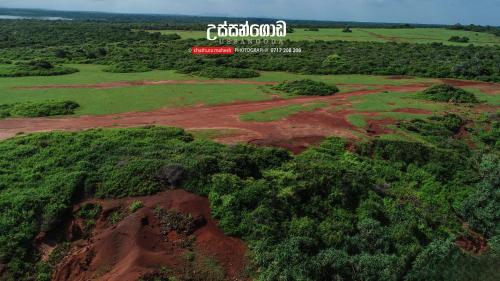 an aerial view of a hill with trees and grass at Dearly Holiday Home And Safari in Tissamaharama