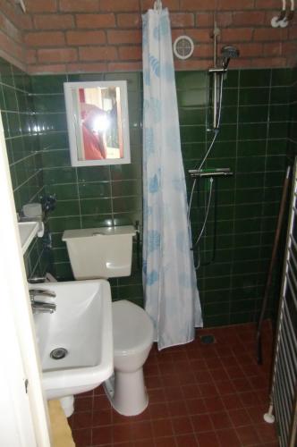 y baño de azulejos verdes con aseo y ducha. en Huisje 59, en Nieuwe-Niedorp