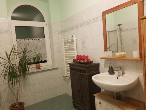 a bathroom with a sink and a mirror at Fewo "Mohnblume" am Stadtpark in Lutherstadt Wittenberg