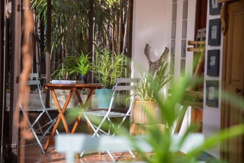 a patio with a table and chairs and plants at Maison d'hôtes L'îlot bambou in Avignon