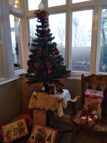 a christmas tree in a room with a table with presents at Llanwrtyd Hall B&B Angelis Holistic Retreat in Llanwrtyd Wells