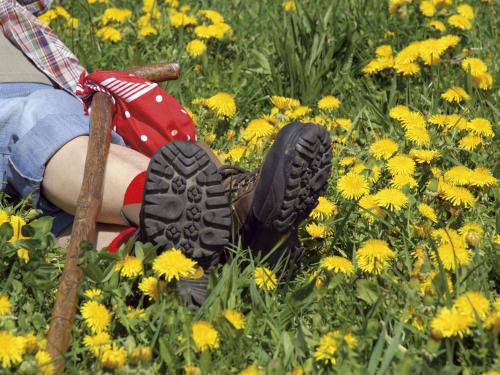 a person laying in a field of yellow flowers at Pension Weiß in Hohenwarth